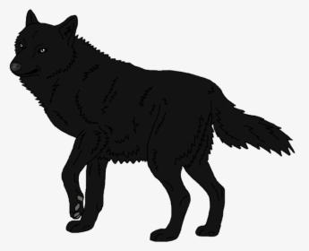 Schipperke Arctic Wolf Mexican Wolf Black Wolf Arctic - Black Wolf Png, Transparent Png, Free Download