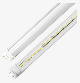 Electra - Fluorescent Lamp, HD Png Download, Free Download