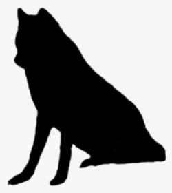 Transparent Wolf Png Image Clipart - Schipperke, Png Download, Free Download