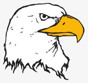 Animated Bald Eagle Head, HD Png Download, Free Download