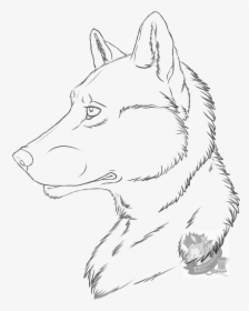 [drawings] Random Wolf - Drawing Art Line Wolf, HD Png Download, Free Download