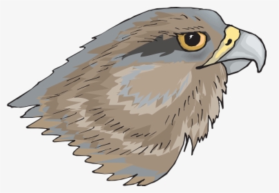 Hawks Clipart, HD Png Download, Free Download