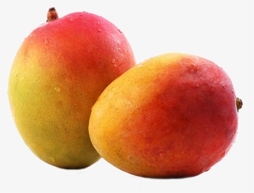 Mango Fruit Alphonso Ripening - Unhealthy Fruit, HD Png Download, Free Download