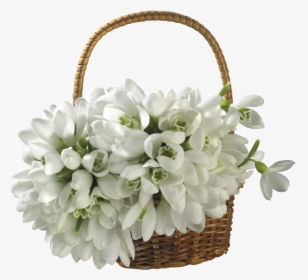 Flower Girl Basket Png, Transparent Png, Free Download