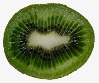 Green Cutted Kiwi Png Image - Kiwi Fruit Cross Section, Transparent Png, Free Download