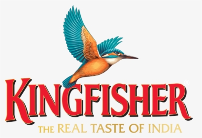 Transparent Beer Vector Png - Vector Kingfisher Logo, Png Download, Free Download