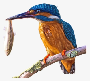 Painting, Kingfisher, Bird, Colorful, Painted, Bill - King Fisher Png, Transparent Png, Free Download
