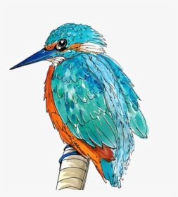 Kingfisher Png Transparent Picture - Animal Kin Oracle Sarah Wilder, Png Download, Free Download