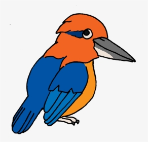 Endangered Island Dweller - Kingfisher Cartoon Png, Transparent Png, Free Download