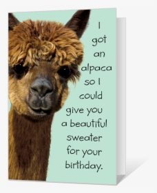 Birthday Alpaca Printable - Llama, HD Png Download, Free Download