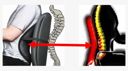 Chair Back Support For Scoliosis, HD Png Download, Free Download