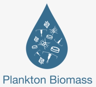 Plankton Biomass, HD Png Download, Free Download