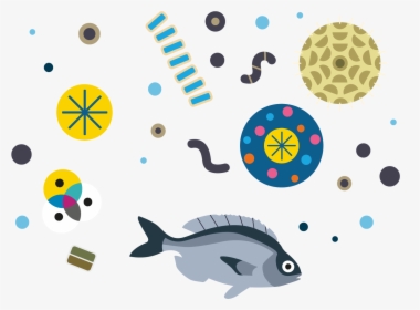 Fish And Plankton Illustration, HD Png Download, Free Download