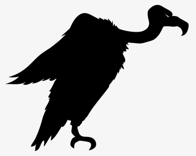 Bird Turkey Vulture Silhouette Clip Art, HD Png Download, Free Download