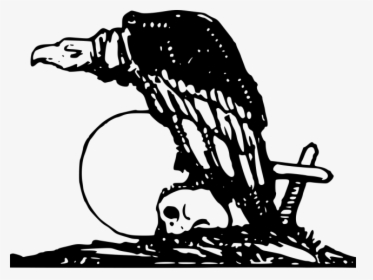 Vulture Png, Transparent Png, Free Download
