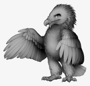 Transparent Vulture Clipart Black And White, HD Png Download, Free Download
