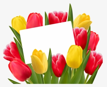 Transparent Tulips Clipart, HD Png Download, Free Download