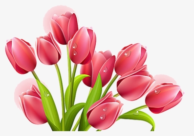 Drawing Tulip Bouquet Huge, HD Png Download, Free Download