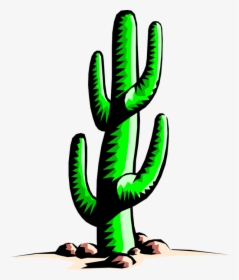 Transparent Cactus Vector Png, Png Download, Free Download
