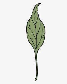 Vegetation Png, Transparent Png, Free Download