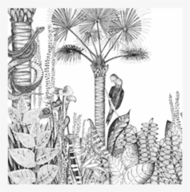 Vegetation Png, Transparent Png, Free Download
