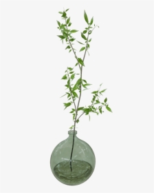 Vegetation Png, Transparent Png, Free Download