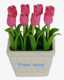 Artificial White Basket Tulip, HD Png Download, Free Download