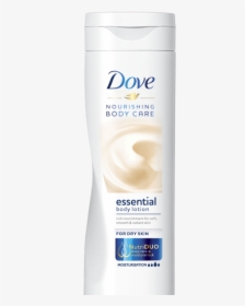 Dove Png Transparent Background, Png Download, Free Download