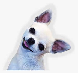 Chihuahua Face Side, HD Png Download, Free Download