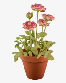 Transparent Transparent Background Flowerpot Free Picture, HD Png Download, Free Download