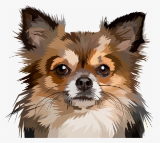 Transparent Chihuahua Png, Png Download, Free Download