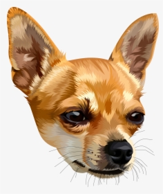 Chihuahua Png, Transparent Png, Free Download