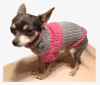 Chihuahua Png, Transparent Png, Free Download