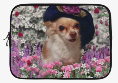 Chi Chi In Pink White Flowers, Chihuahua Puppy Dog, HD Png Download, Free Download