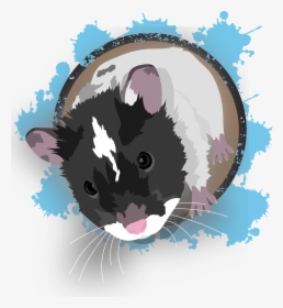 Hamster, Pet, Knuffig, Fly On The Wall, Cute, Mouse, HD Png Download, Free Download
