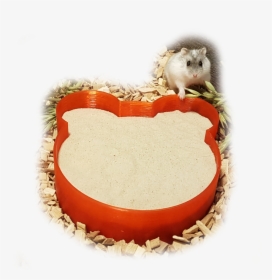 Hamster, HD Png Download, Free Download