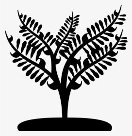 Small Tree Png, Transparent Png, Free Download