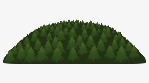 Woods Png, Transparent Png, Free Download