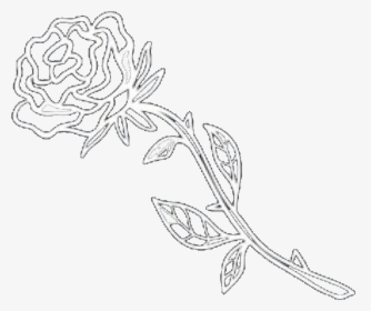 Beauty And The Beast Rose Png Images Free Transparent Beauty And The Beast Rose Download Kindpng