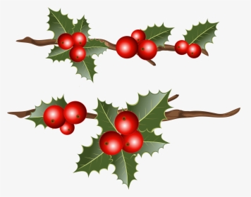 Common Holly Christmas Mistletoe Clip Art, HD Png Download, Free Download