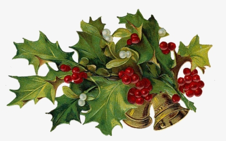 Christmas Holly Png, Transparent Png, Free Download