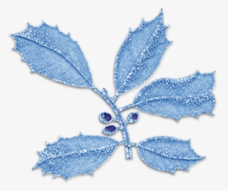Christmas Holly Png, Transparent Png, Free Download