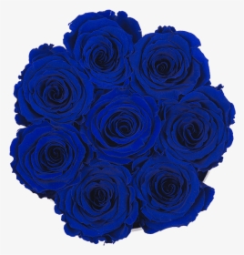 Blue Rose Png, Transparent Png, Free Download