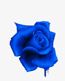 #freetoedit#eemput #png #rose #flowers #blue, Transparent Png, Free Download