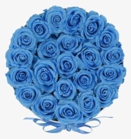 Orbdeluxe Baby Blue Roses"  Class="lazyload Lazyload, HD Png Download, Free Download