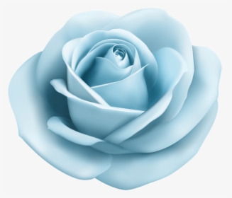 #pastel #blue #lightblue #babyblue #bluerose #rose, HD Png Download, Free Download