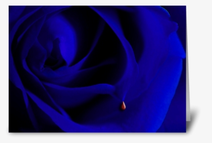 Blue Rose Greeting Card, HD Png Download, Free Download