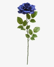 Teters Floral Blue Rose Stem, HD Png Download, Free Download