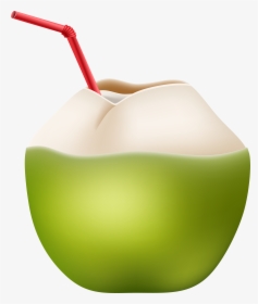 Picture Free Library Coconut Transparent Straw Png, Png Download, Free Download