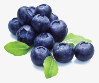 Blueberries Transparent, HD Png Download, Free Download
